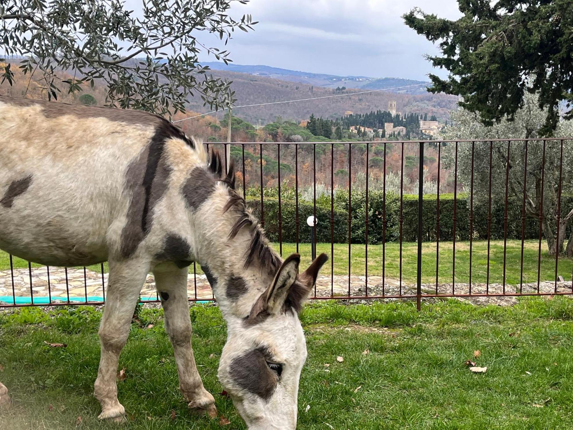 Apartamento Il Fiorino Di Badia Badia A Passigano Exterior foto
