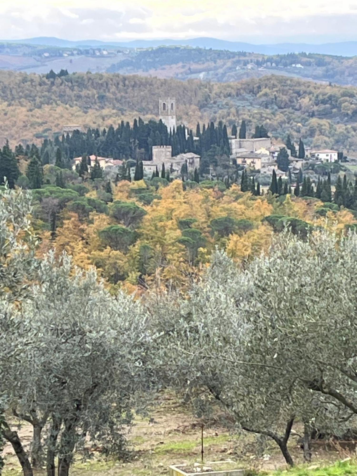 Apartamento Il Fiorino Di Badia Badia A Passigano Exterior foto
