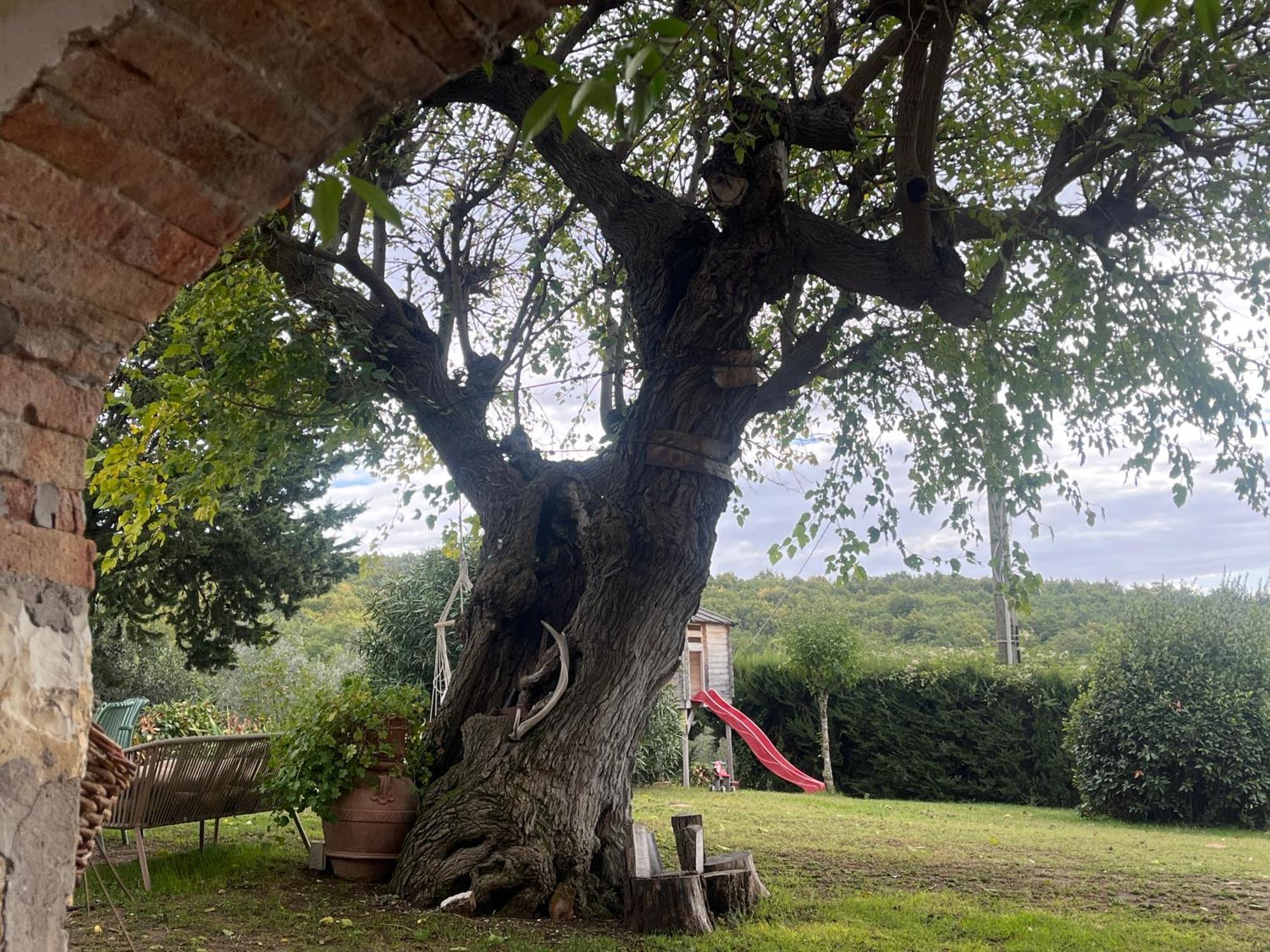 Apartamento Il Fiorino Di Badia Badia A Passigano Exterior foto