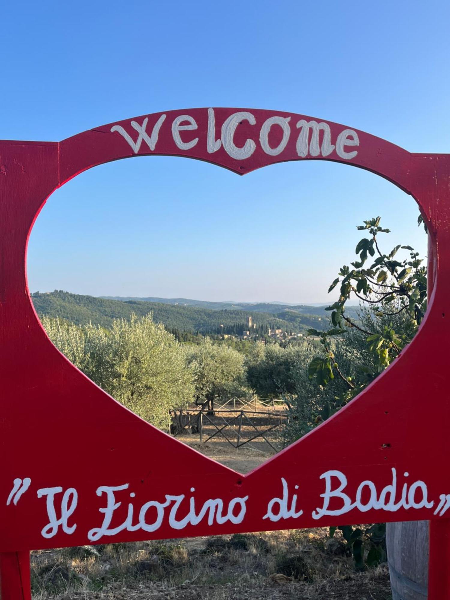Apartamento Il Fiorino Di Badia Badia A Passigano Exterior foto